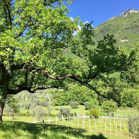 Cervano Feriegård