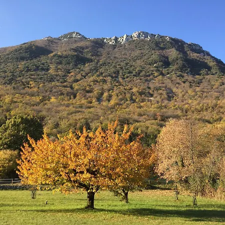 Cervano *