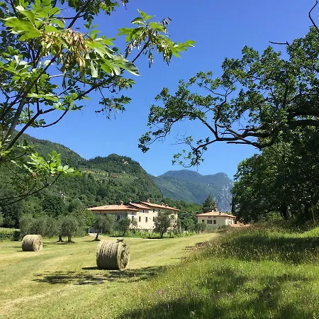 Cervano