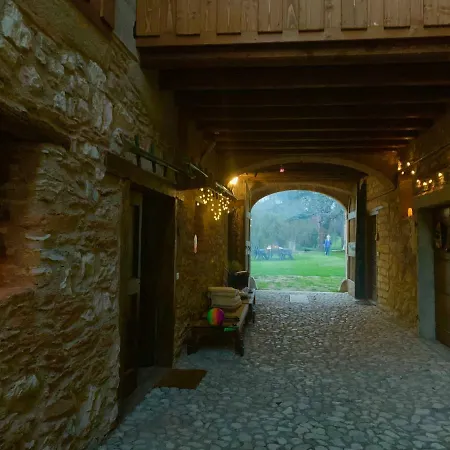 Cervano *